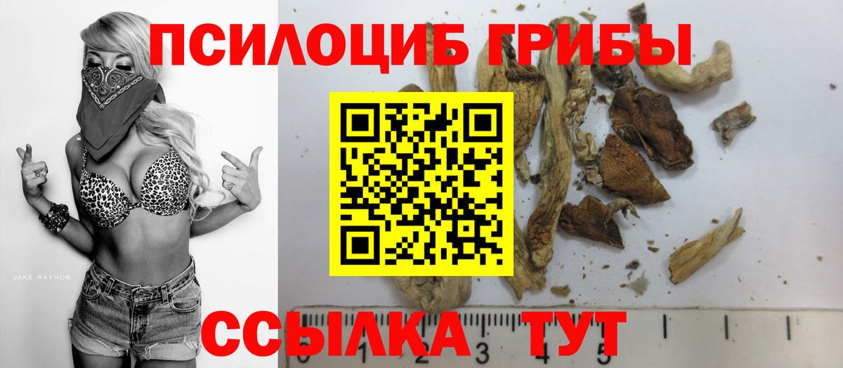 Галлюциногенные грибы ЛСД  Вход с VPN  Галлюциногенные грибы Psilocybine cubensis  купить наркотики сайты  Карталы 